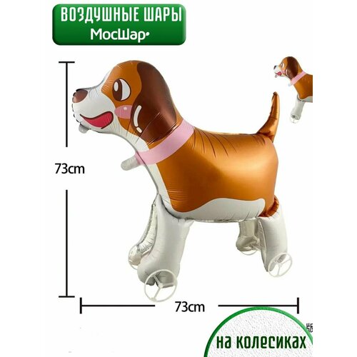 ���� ��������� ��� ������� ������ ������ �� ���������, ������ �� 494 ���