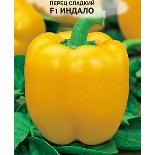 ���� ������������� ������ ����� �������� ������ F1, ������ �� 101 ���