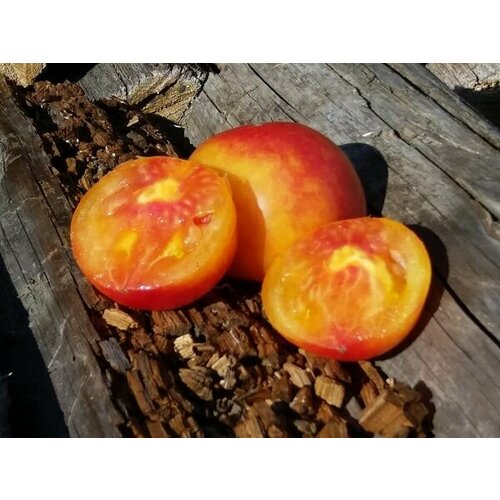 ���� ������������� ������ ������ �����, ������ �� 104 ���