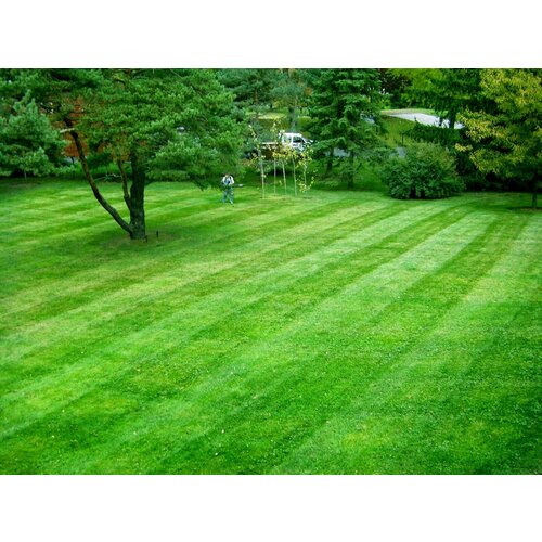       ,    ,    , 500  ,   769 