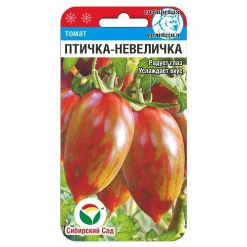 ���� ������ ����� ������-��������� 20�� ����� (��������� ���), ������ �� 203 ���