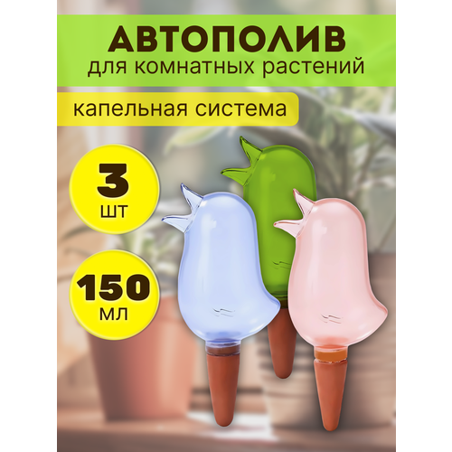 ���� ��������� ��������� ��������, ������, ��������� �����, ����� ��������� ���� ������� ������� �������, ������ �� 930 ���