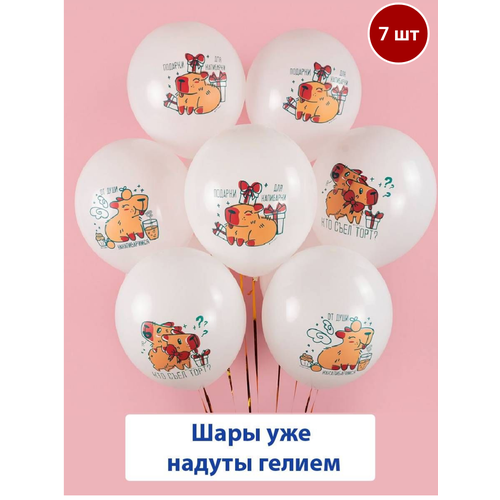 ���� ��������� ���� � ������ �� ��������, ���� �������� �������� 7 ��, ������ �� 1049 ���