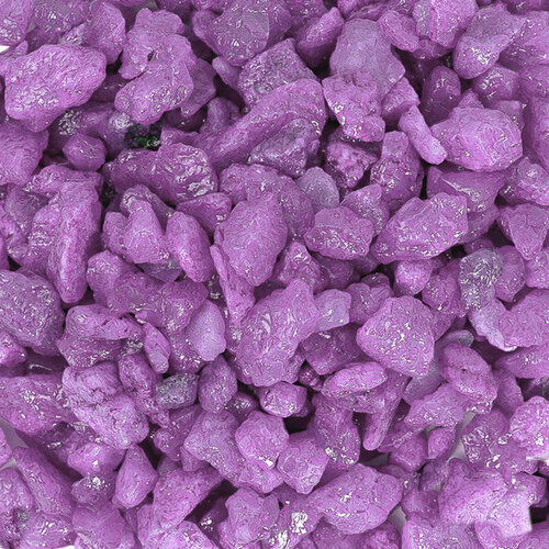 ���� ����������� ����� ��� ��������, ����������� � ��������, Zoo One, ��������� ��������, 