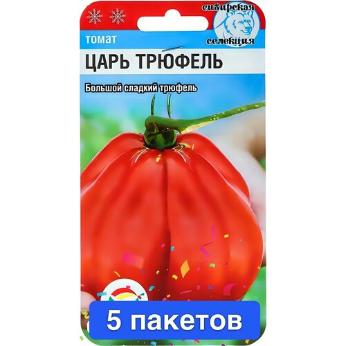 ���� ������ ������ ��������� ��� 