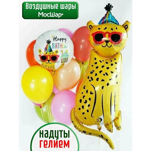 ���� ����� ��������� �����, ������ ����� � ������ �� ���� �������� ������ ������, ������ �� 2804 ���