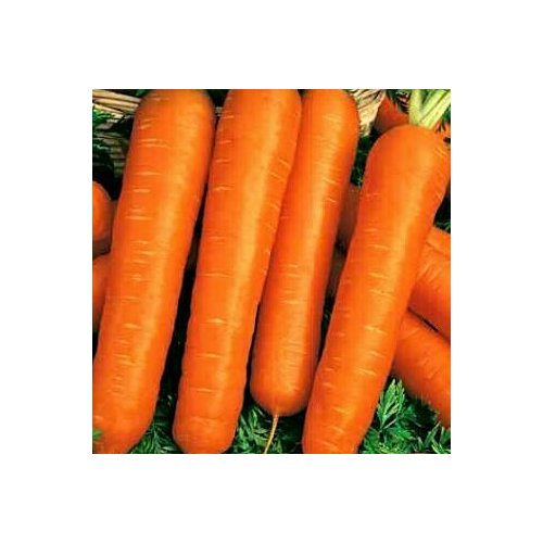 ���� ������ ������� �������, �������, ����, 300��, ������, ������ �� 52 ���