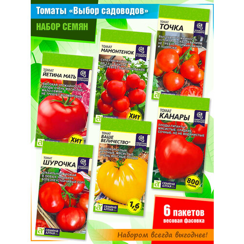 ���� ����� ����� �������: ������ ����, ����������, �����, �������, ���� ����������, ������ - ������ ����� (6 �����), ������ �� 458 ���