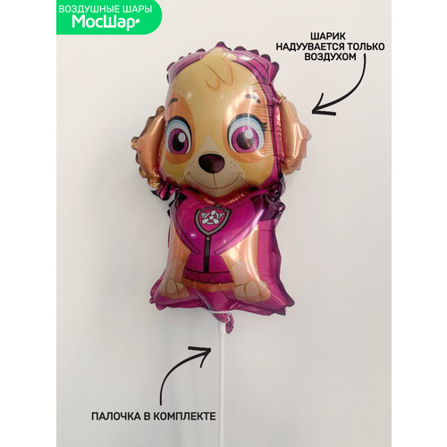 ���� ����-������ �� ������� 