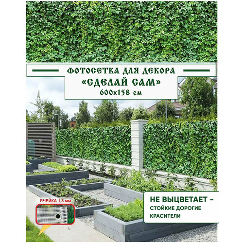 ���� ��������� ����� ��� ������ ������ 