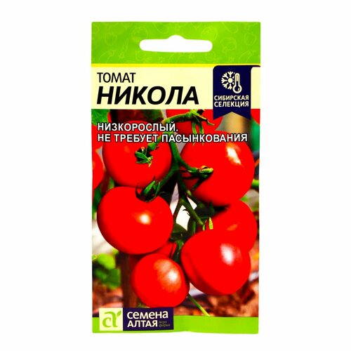 ���� ������ ����� 