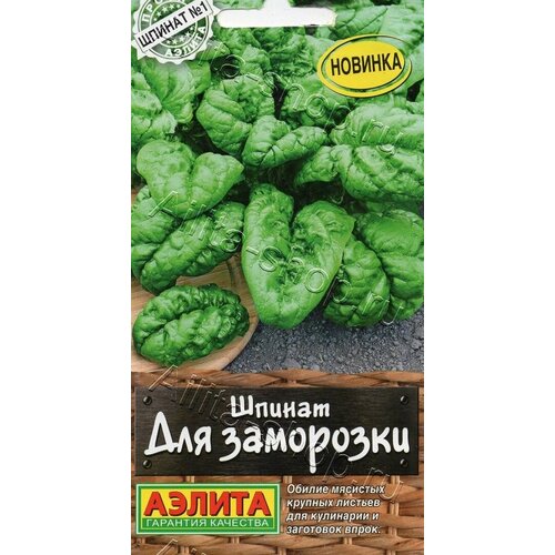 ���� ������ ������� ������ 