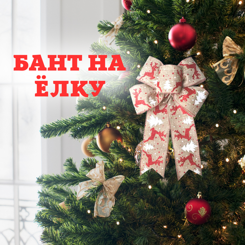 ���� ���� ��������� ��� ����, ����������� �����, ���������, �������, ������ �� 299 ���