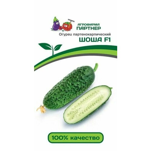 ���� ������ ���� F1 ��������������� ������ ������� (1 ��������-5 �� �����), ������ �� 325 ���