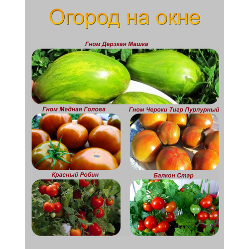 ���� ����� ������������� ����� ��� ��������� �������, ������ �� 465 ���