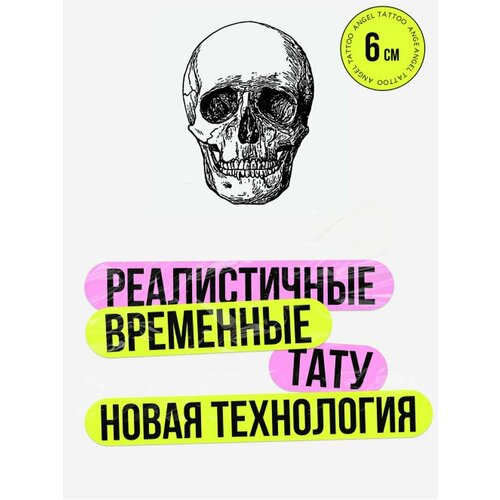 ���� ���� ���������� �������������� �������� �����, ������ �� 450 ���