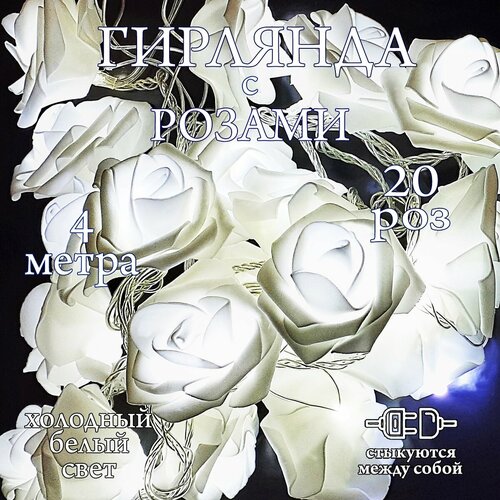 ���� ������������ �������� ����, ������ �� 540 ���