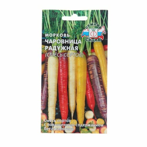 ���� ������ ������� 