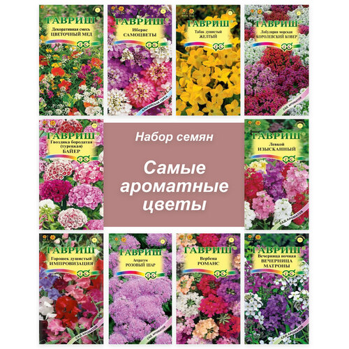 ���� ������ ��������� ������ ��� ����, ������ �� 564 ���