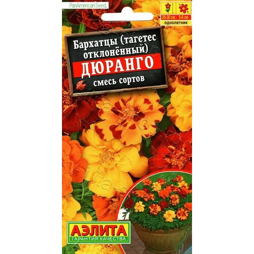 ���� ������ ��������� ��������� ������ 