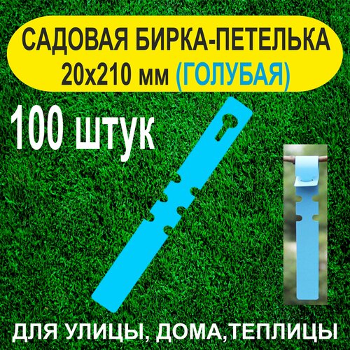 ���� ������� �����-�������� 20x210 ��. 100 ���� (�������), ������ �� 350 ���