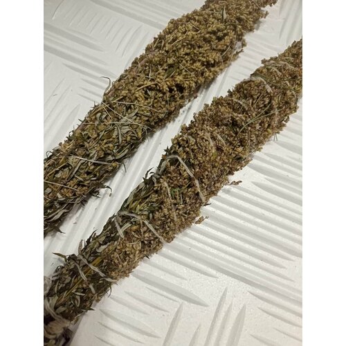 ���� ������� �� ������ ������������ 35 ��. ������ ��������� �������. ���������� ���������, ������ �������., ������ �� 469 ���