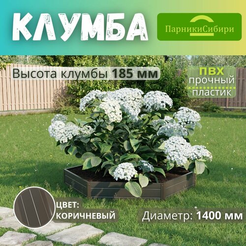 ���� ������� ������/������ �� ���, ��������, 