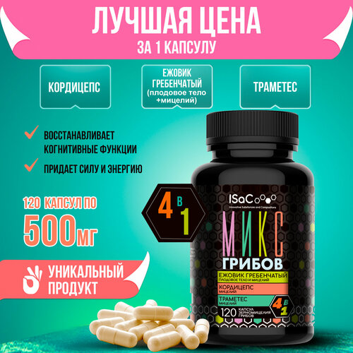 ���� ���� ������ ������ �����������, ���������, �������� 120 ������ �� 500 �� ������� � �������� �����, ������ �� 1323 ���