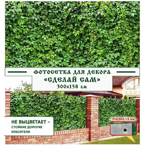 ���� ��������� ����� ��� ������ ������ 