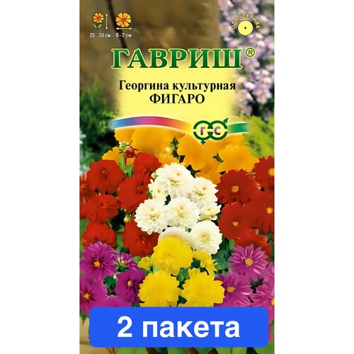 ���� ����� �������� ������ 2 ������, ������ �� 574 ���