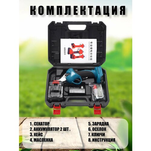 ���� ������� �������, ��������, ��������������, ������ �� 3000 ���