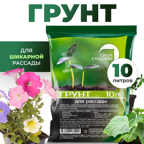 ���� ����� (�����) ��� ������� ������ � ������ ���� �������, 10 �, ������ �� 780 ���