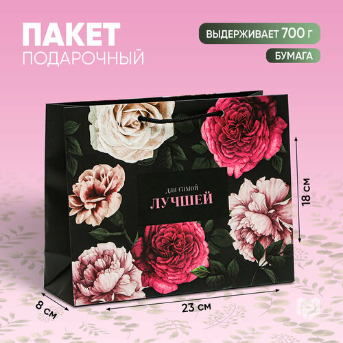 ���� ����� ���������� ���� ����� ������, 23 ? 18 ? 8 ��, ������ �� 169 ���