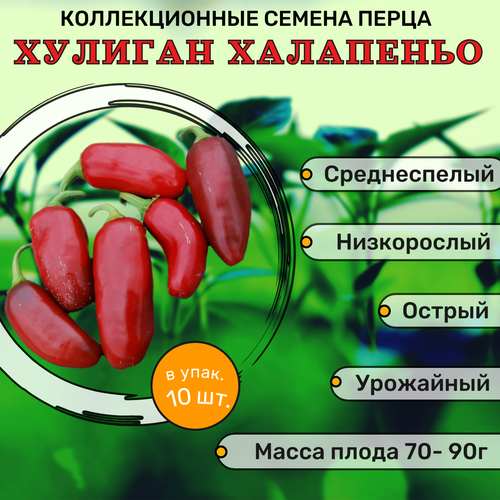 ���� ������������� ������ ����� ������� ������� ���������, ������ �� 122 ���