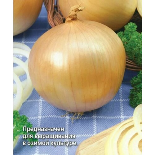 ���� ������������� ������ ���� �������� ���� ������, ������ �� 238 ���