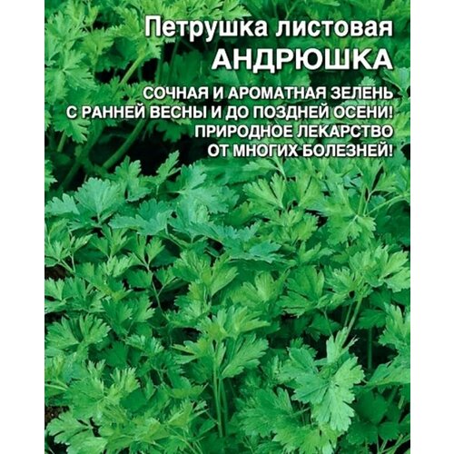 ���� ������������� ������ �������� �������� ��������, ������ �� 104 ���