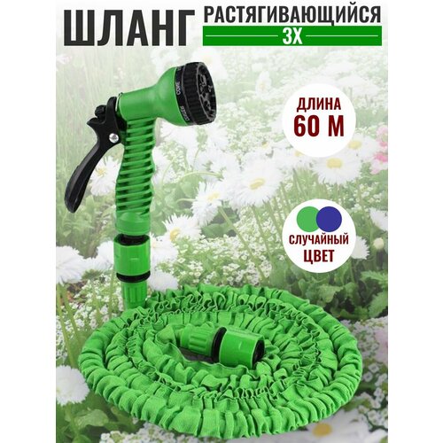 ���� ����� ������� ���������� ���������������, ������ �� 1250 ���