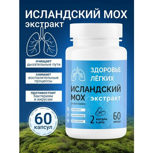 ���� ��������, ���������� ��� �� �����, ������ �� 600 ���