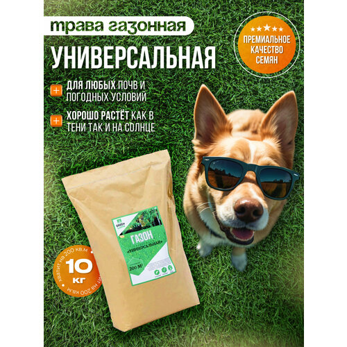 ���� �������� �����, ������, ������������� ����������, 10 ��, ������ �� 4335 ���