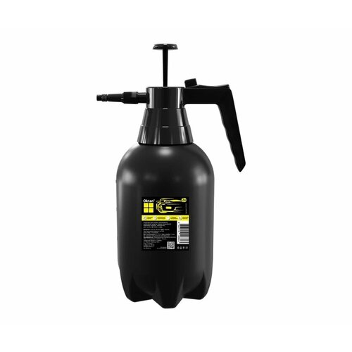 ���� ������������� �������� 