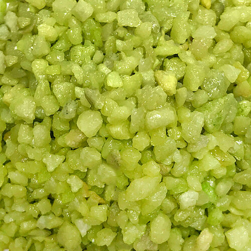 ���� ����������� ����� ��� ��������, ����������� � ��������, Zoo One, ��������� ��������, 