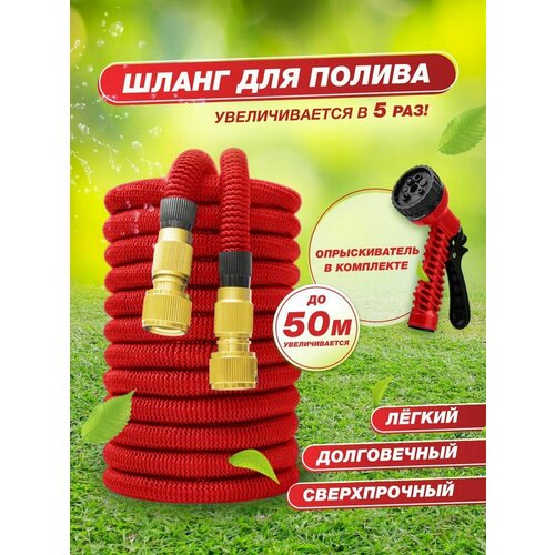 ���� ������� ���������� ����� ��������������� 50�, ������ �� 1850 ���