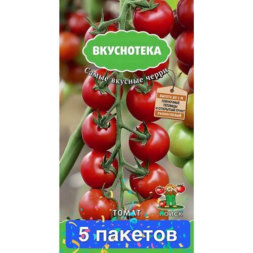 ���� ������ ������ ����� 