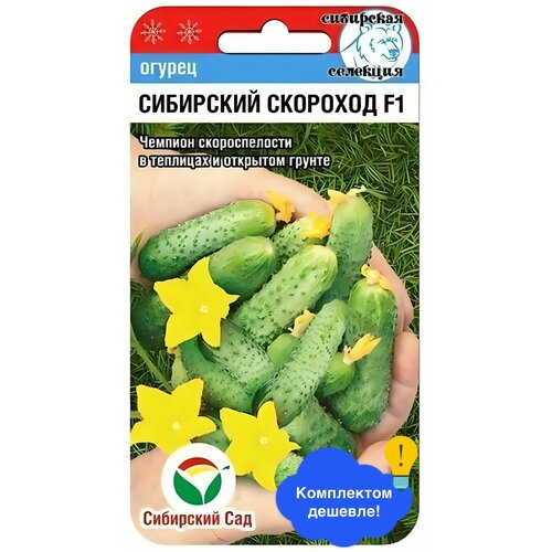 ���� ������ ������ ��������� ��� 