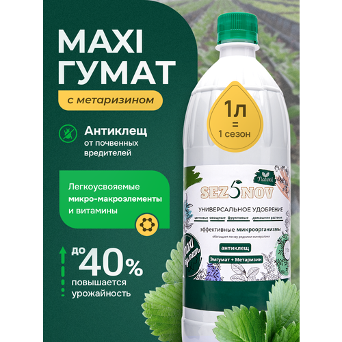 ���� ��������� ������������ MAXI ����� ���� �������, ��������� ��� �������, ���� � �������, ��������� ��������, 1000 ��, ������ �� 850 ���