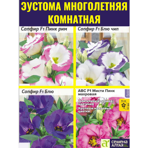     , . 4   PanAmerican   ,   796 