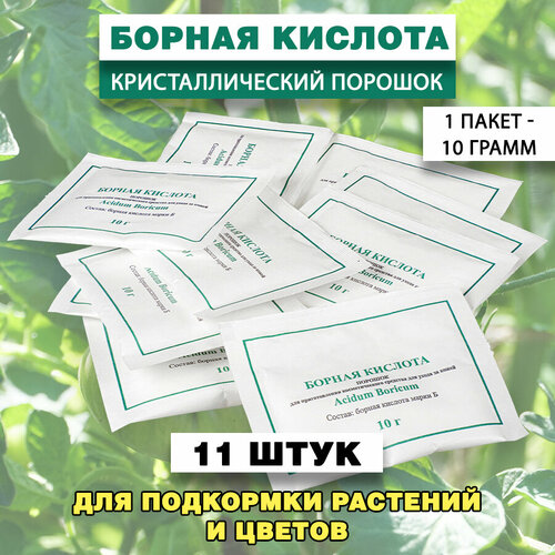       10  /     11 ,   300 