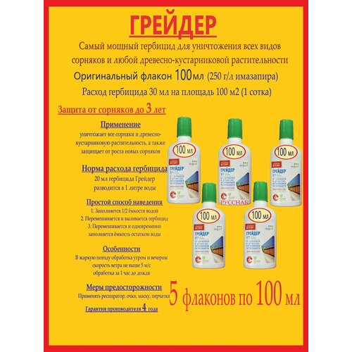 ���� ����� ������ �������� ������� - 5 �������� 100 �� (�������� 250 �/�) �� �������� � ���������, ������ �� 3305 ���