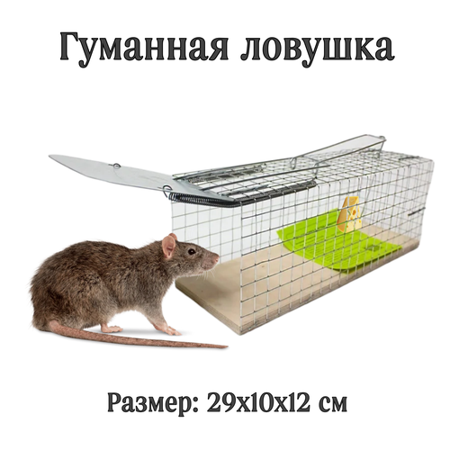 ���� ���������� ������ (�������) �� ���� � �����, ������ �� 539 ���