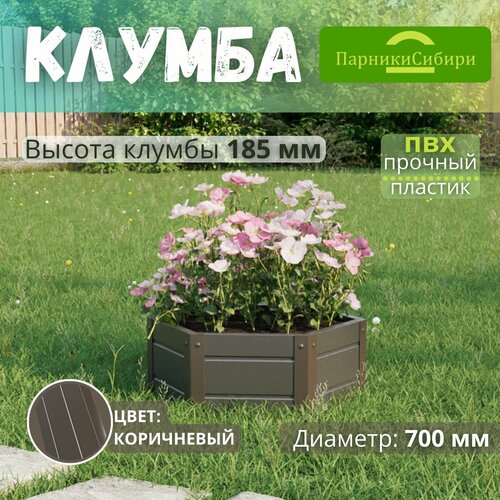 ���� ������� ������/������ �� ���, ��������, 